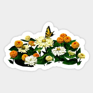 Zinnias - Tiger Swallowtail Butterfly on Zinnia Sticker